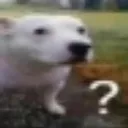 CONFUSED_FUCKING_DOG