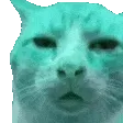 BungleHUH BungleHUH