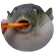 augh