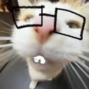 cat_nerd