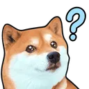 Confused