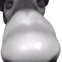 sniffa