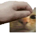 <a:PetTheStaringCat:1219261330708496444>