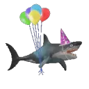 6591sharkparty