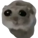 hamster_sad
