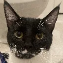 whatdidyoucallme