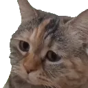 nekomeme Discord Emoji