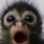 monkey_happysurprise Discord emoji