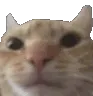 ninileave