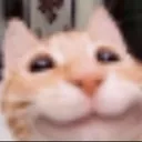 kit