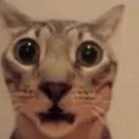 PISSMYSELFOUTOFFEAR
