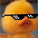 duckosavage