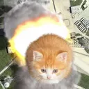 catrocket