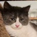 mo