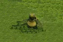 megahayper