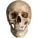 emoji_1