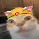 ErmCat