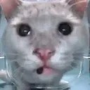 emoji_16