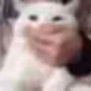 held_hostage
