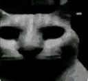 uncannycat