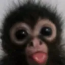 heheh