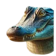 gatorpeek