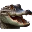 gatorpleased