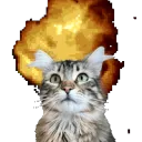 explodinglemmy