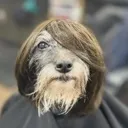 belleza