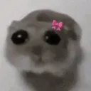 HamtaroSad