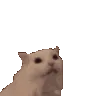kh