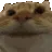 catyes