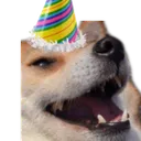 hnykek