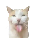 bleh