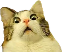 emojipng