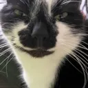 ermwhatthetuna ermwhatthetuna