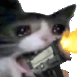 4063catgun