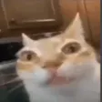 annytfWayTooErm annytfWayTooErm