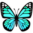 ac_teal_butterfly