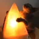 monolit