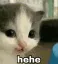 hehe