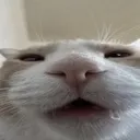 whar