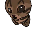 GlapeChippiChappa