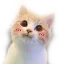 cat_uwu cat_uwu