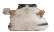 fatcat