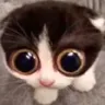 MONKA