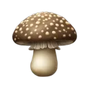 mushroom