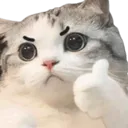 6thumbsupcat 6thumbsupcat