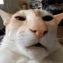 Guh
