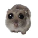 sadham Discord emoji
